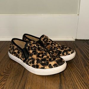 Steve Madden ecentrcq slip on shoes